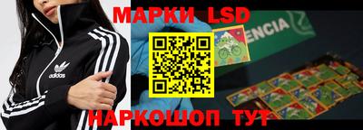 apvp Славгород
