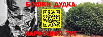 apvp Славгород