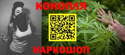 apvp Славгород